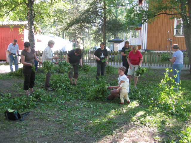 img_3108.jpg